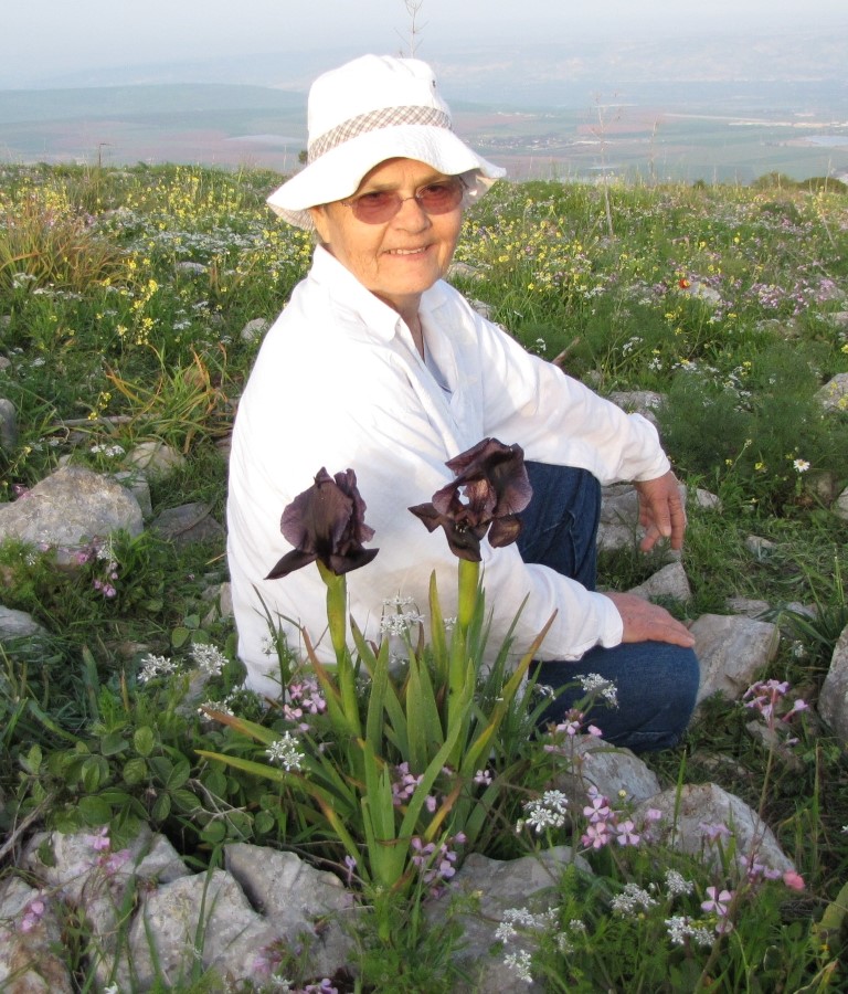 ���� ���